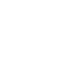 Secure Shopping icon